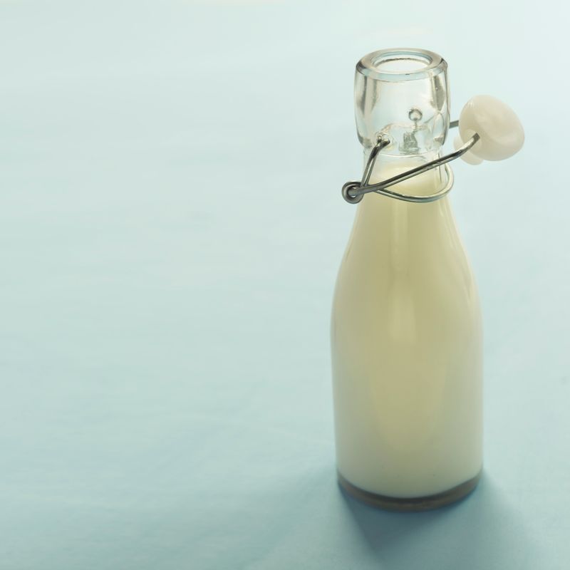 Whole Milk 1 Gallon